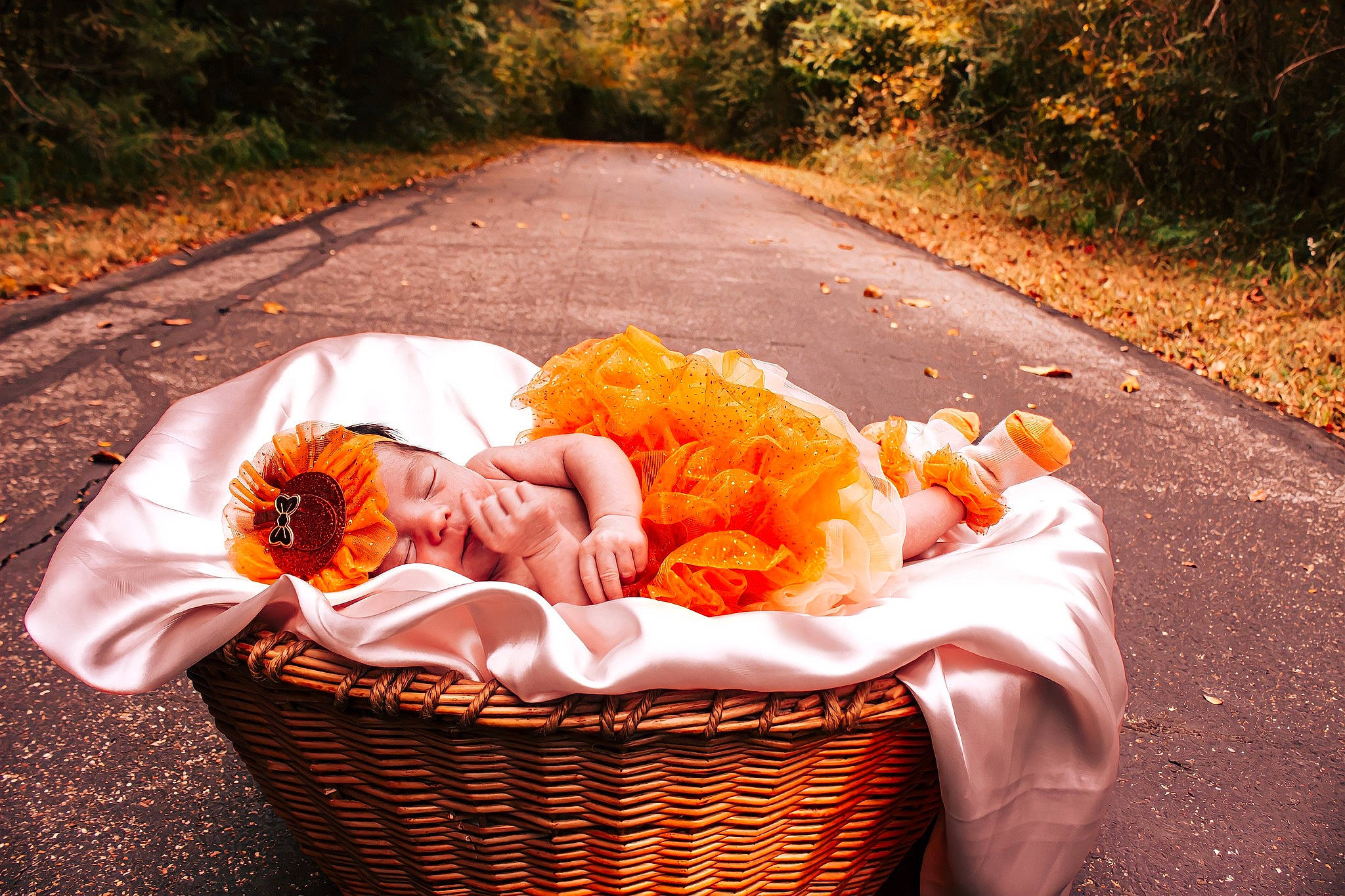 Anaya joined the competition — help win amazing prizes! asphalt, bag, basket, cuisine, event, grass, hat, landscape, leisure, orange, people_in_nature, person, picnic_basket, plant, recreation, road, storage_basket, tire, tree, wheel