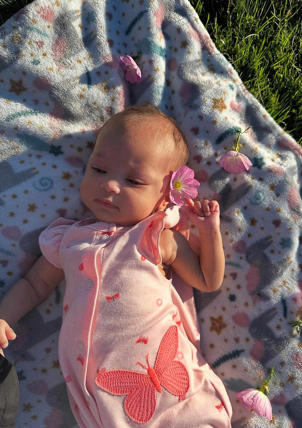 Evangeline