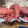 Aviya joined the competition — help win amazing prizes! newborn, baby, infant, hospital, bassinet, skin, umbilical_clamp, crying, sleeping, hospital_bed, medical, child, newborn_baby, hospital_room, human, person, hospital_equipment, bed, patient, healthcare