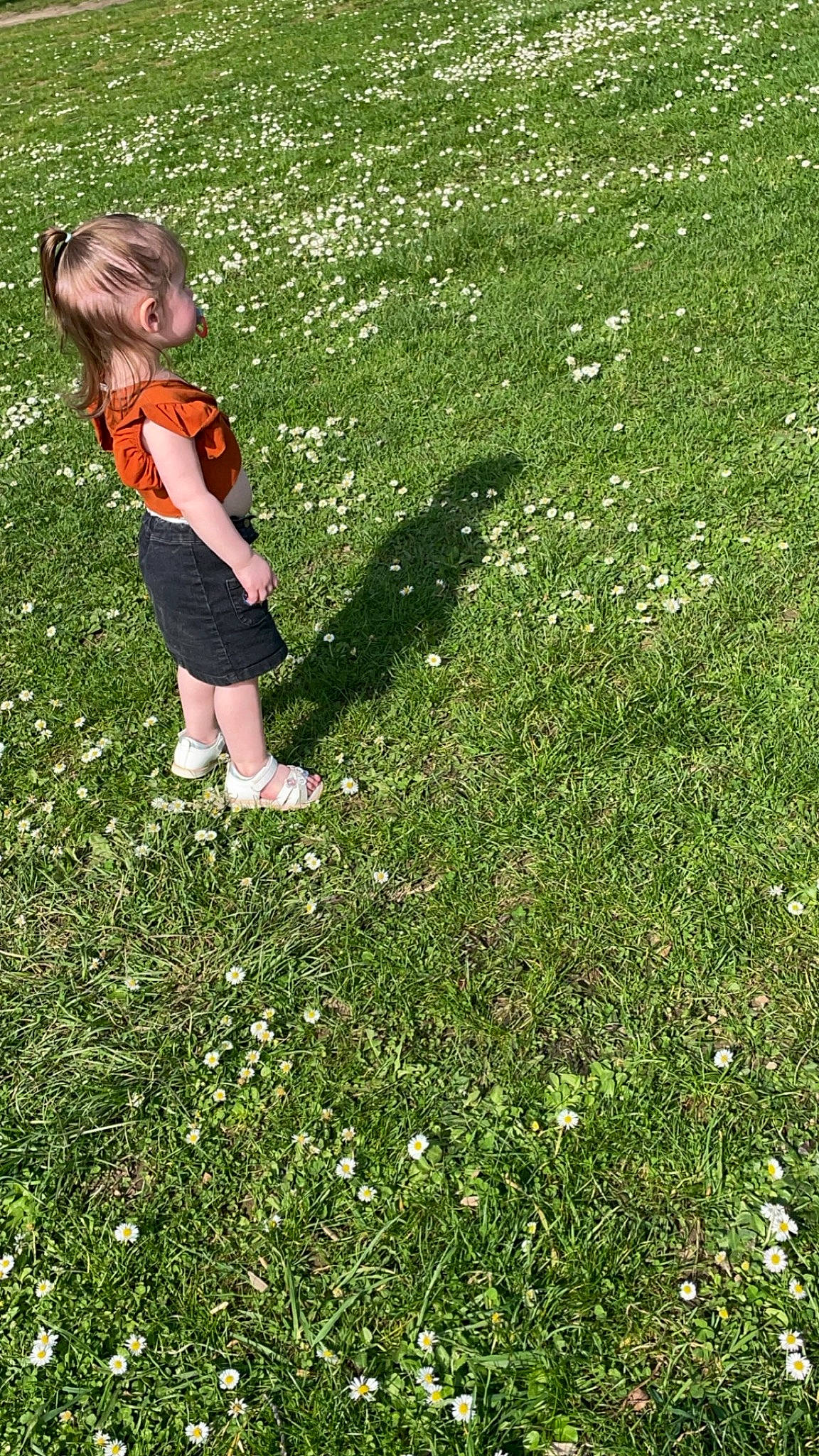 Lyna a rejoint le concours — aidez-le/la à gagner de superbes lots ! barefoot, foot, fun, garden, grass, grassland, groundcover, happy, human_leg, lawn, leisure, meadow, pasture, people_in_nature, person, plant, recreation, shadow, shrub, toddler