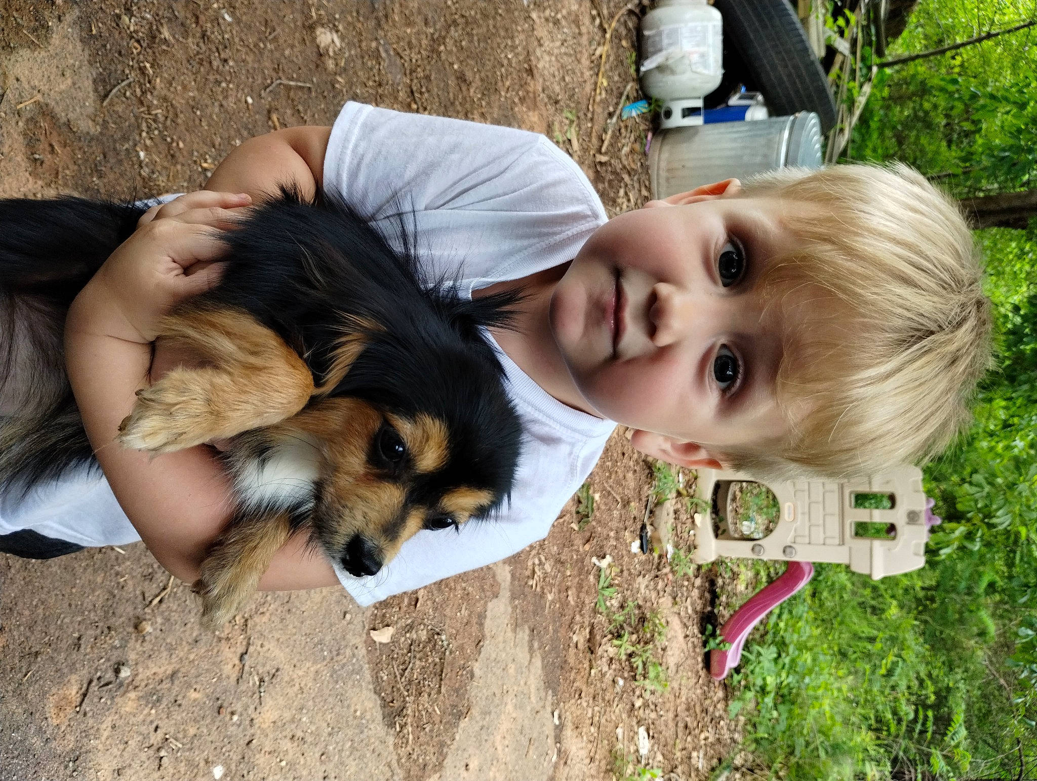 Tyler joined the competition — help win amazing prizes! blond, brown_hair, carnivore, child, companion_dog, dog, dog_breed, facial_expression, fawn, fun, grass, happy, leisure, people_in_nature, person, plant, sitting, smile, sunglasses, toddler