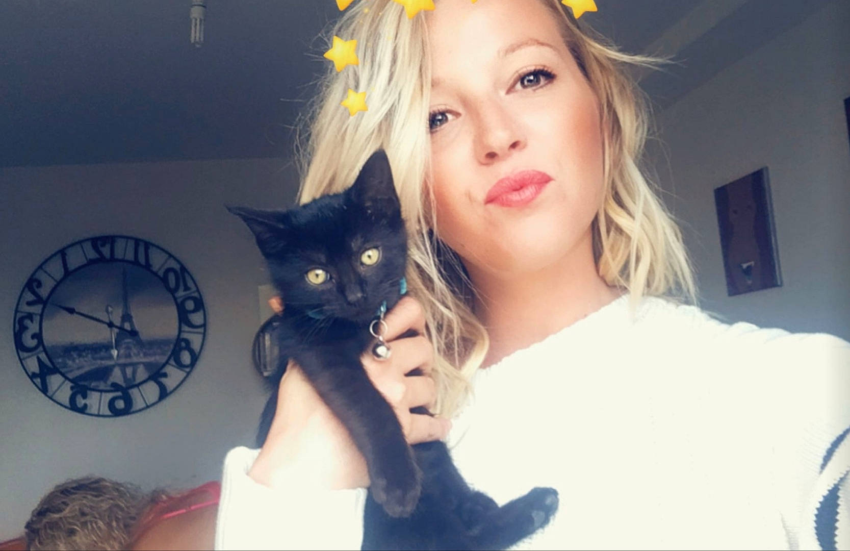 Smok participe au concours pour gagner de l'argent avec cette photo : black_hair, brown_hair, carnivore, cat, ear, event, eye, eyelash, fashion_accessory, felidae, formal_wear, fur, gesture, happy, head, iris, lap, long_hair, small_to_medium_sized_cats, whiskers