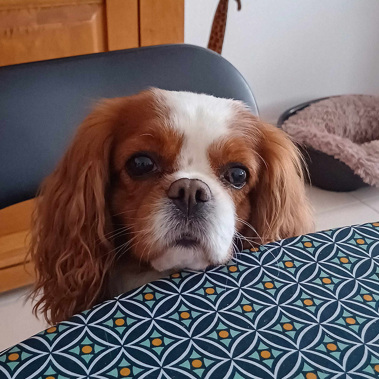 Oscar