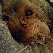 Lulu participe au concours pour gagner de l'argent avec cette photo :
