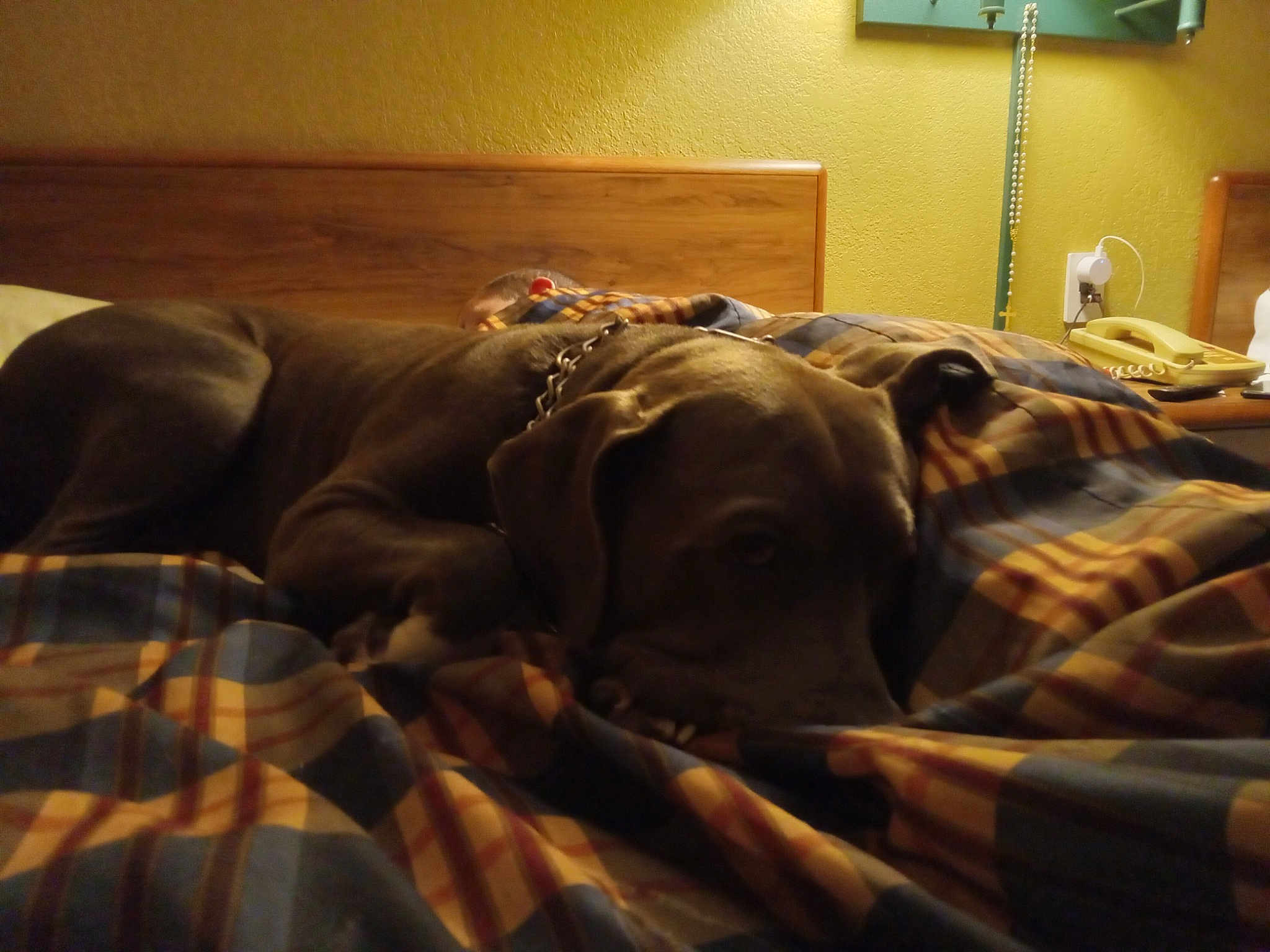 Tyson