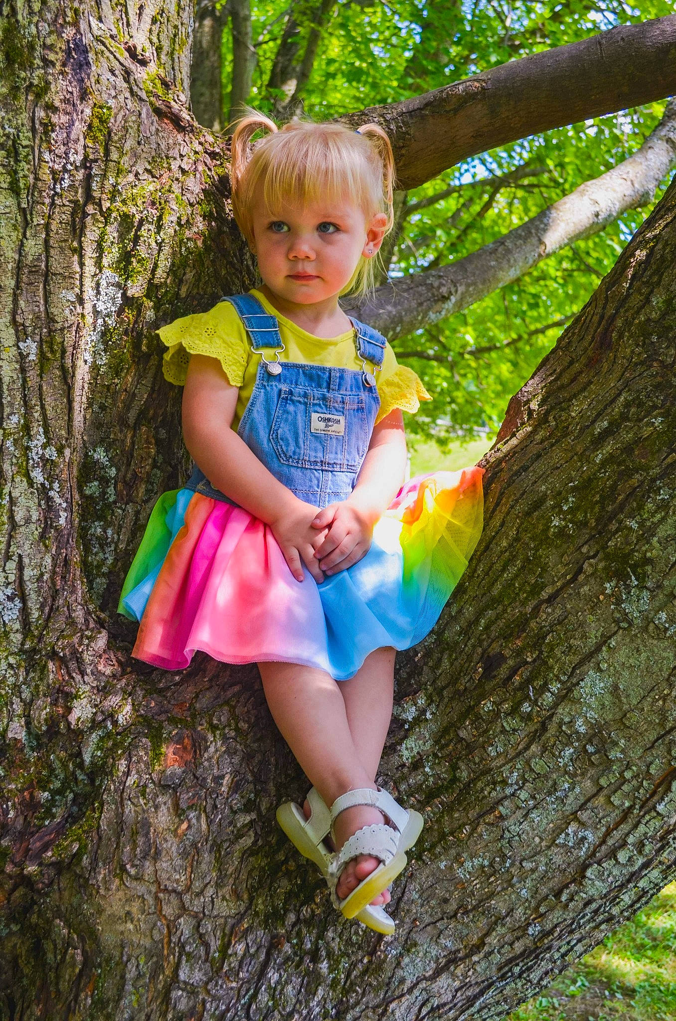 Autumn joined the competition — help win amazing prizes! child, fun, happy, jungle, leisure, people_in_nature, person, photography, plant, play, recreation, smile, spring, summer, toddler, tree, trunk, vacation, woody_plant