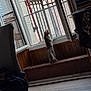 kitten, cat, window, balcony, indoor, curious, wood_paneling, floor, cable, chair, clothes, daylight, furniture, pet, young_cat, standing, looking_out, home, cozy, quiet