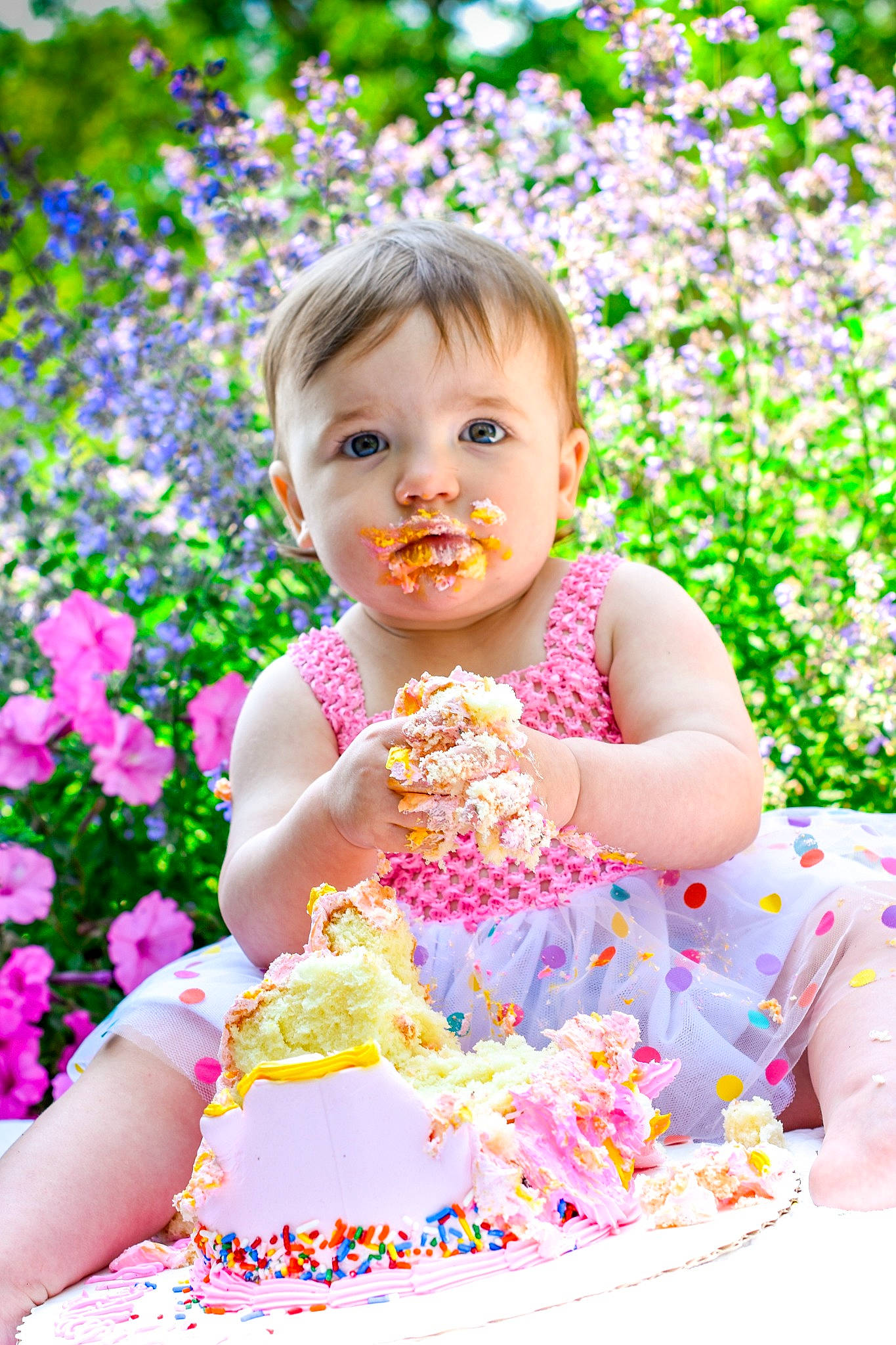 Aiyana joined the competition — help win amazing prizes! baby, baby_toddler_clothing, cake_decorating, cake_decorating_supply, child, dress, event, flower, fun, grass, happy, magenta, people_in_nature, person, petal, pink, plant, sitting, sugar_cake, sweetness