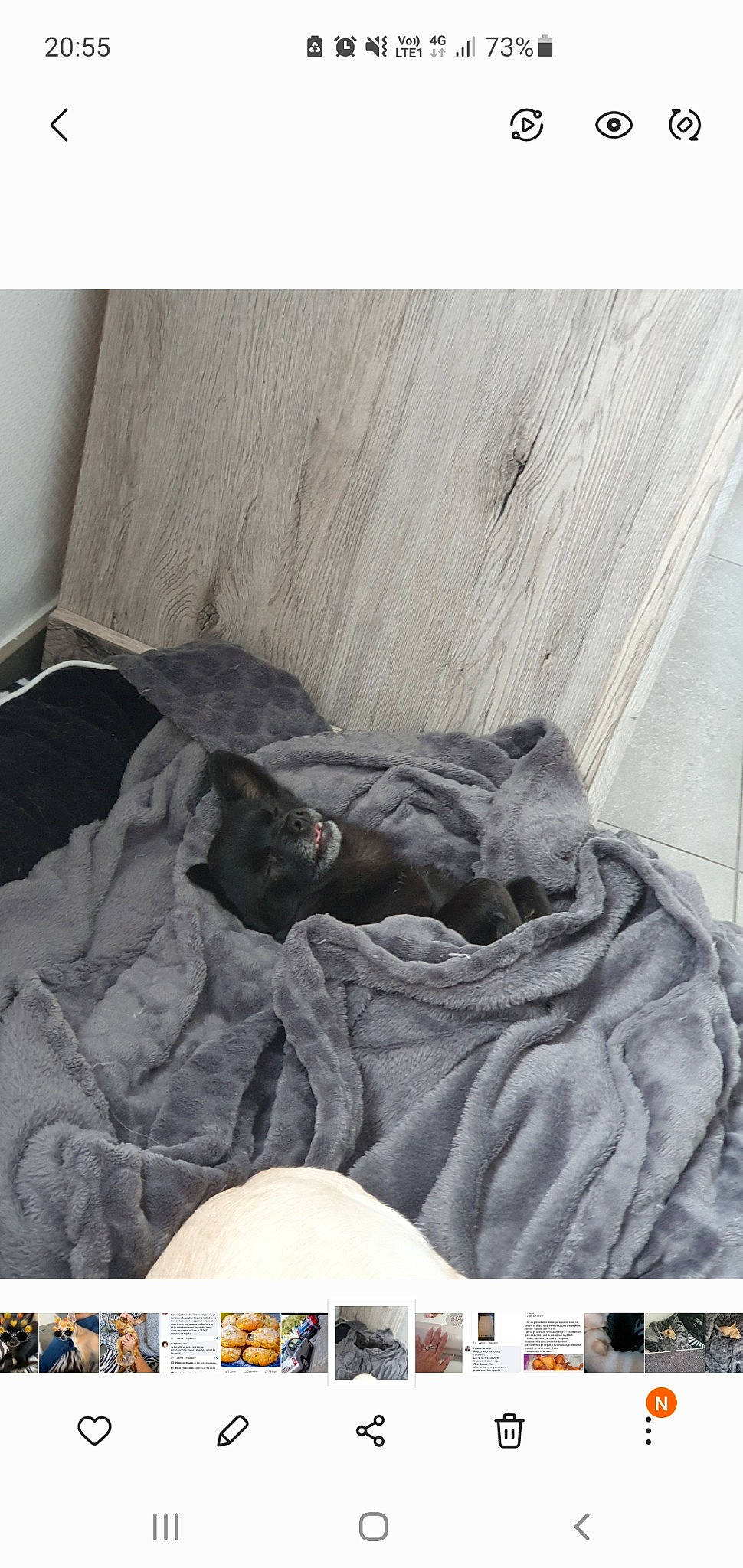 Layko participe au concours pour gagner de l'argent avec cette photo : bed_sheet, bedding, bedroom, comfort, denim, flooring, font, fur, linens, pattern, rock, room, sleeve, sportswear, t_shirt, wood