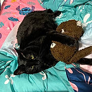 Cleo joined the competition — help win amazing prizes! black_cat, stuffed_toy, bed, bedding, colorful, tropical_pattern, cartoon_pattern, green_eyes, pet, animal, indoor, relaxed, fur, toy, sleeping_area, comfort, cute, domestic_cat, resting, feline