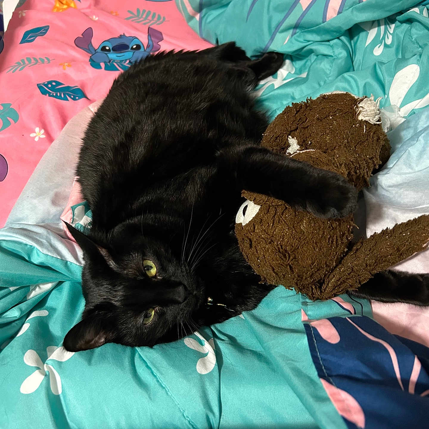 Cleo joined the competition — help win amazing prizes! black_cat, stuffed_toy, bed, bedding, colorful, tropical_pattern, cartoon_pattern, green_eyes, pet, animal, indoor, relaxed, fur, toy, sleeping_area, comfort, cute, domestic_cat, resting, feline