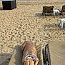 Maya participe au concours pour gagner de l'argent avec cette photo : dog, beach, sand, ocean, lounge_chair, relaxed, calm, outdoor, pet, canine, sunny, vacation, water, summer, resting, animal, leash, daytime, quiet, scenic