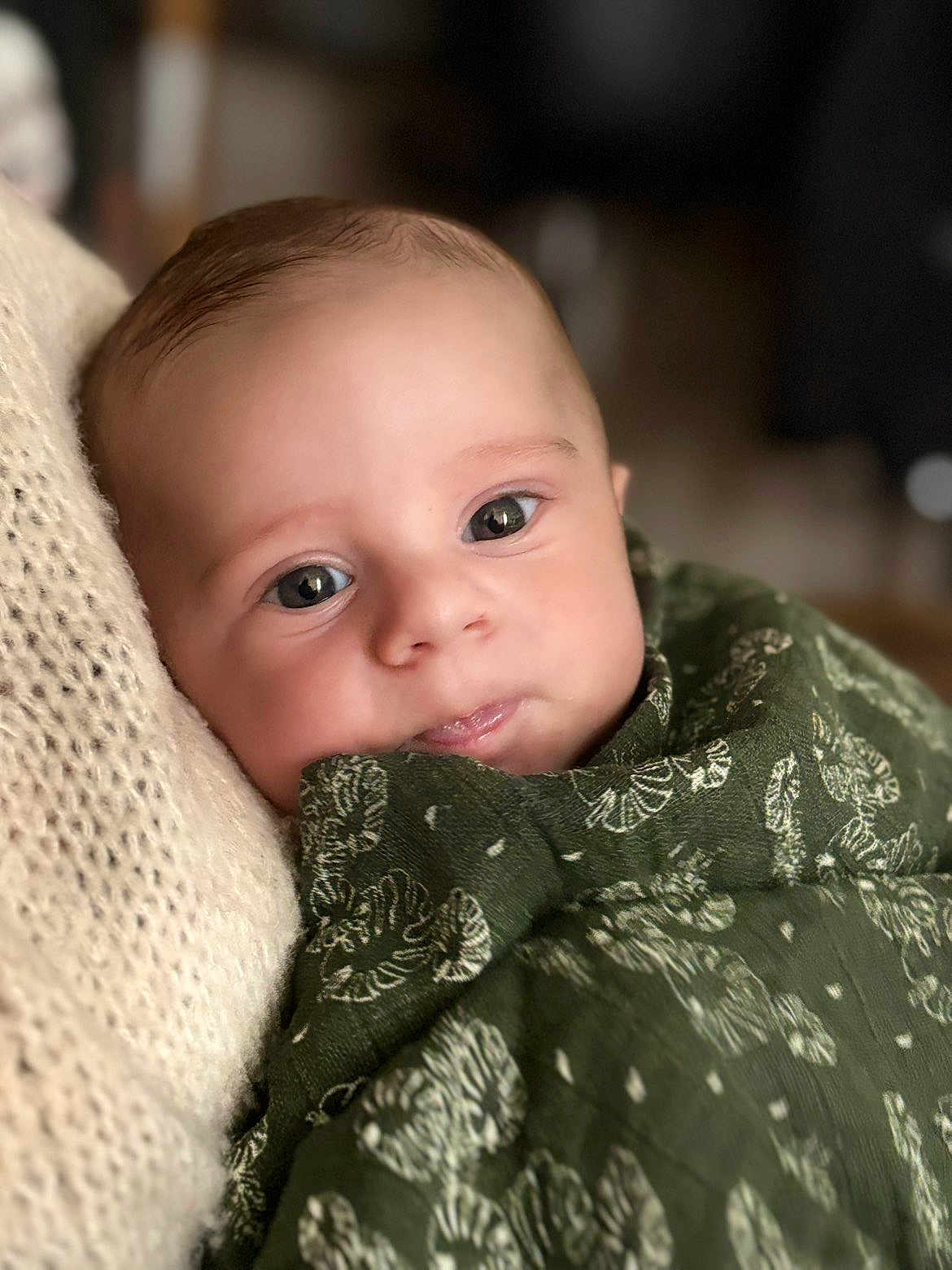 Diego participe au concours pour gagner de l'argent avec cette photo : baby, infant, face, eyes, blanket, green_blanket, knitted_fabric, closeup, portrait, resting, cute, soft_light, indoors, child, young_baby, cozy, peaceful, skin, head, wrapped