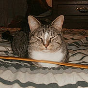 Powggur is registered to the contest to win money with this photo: