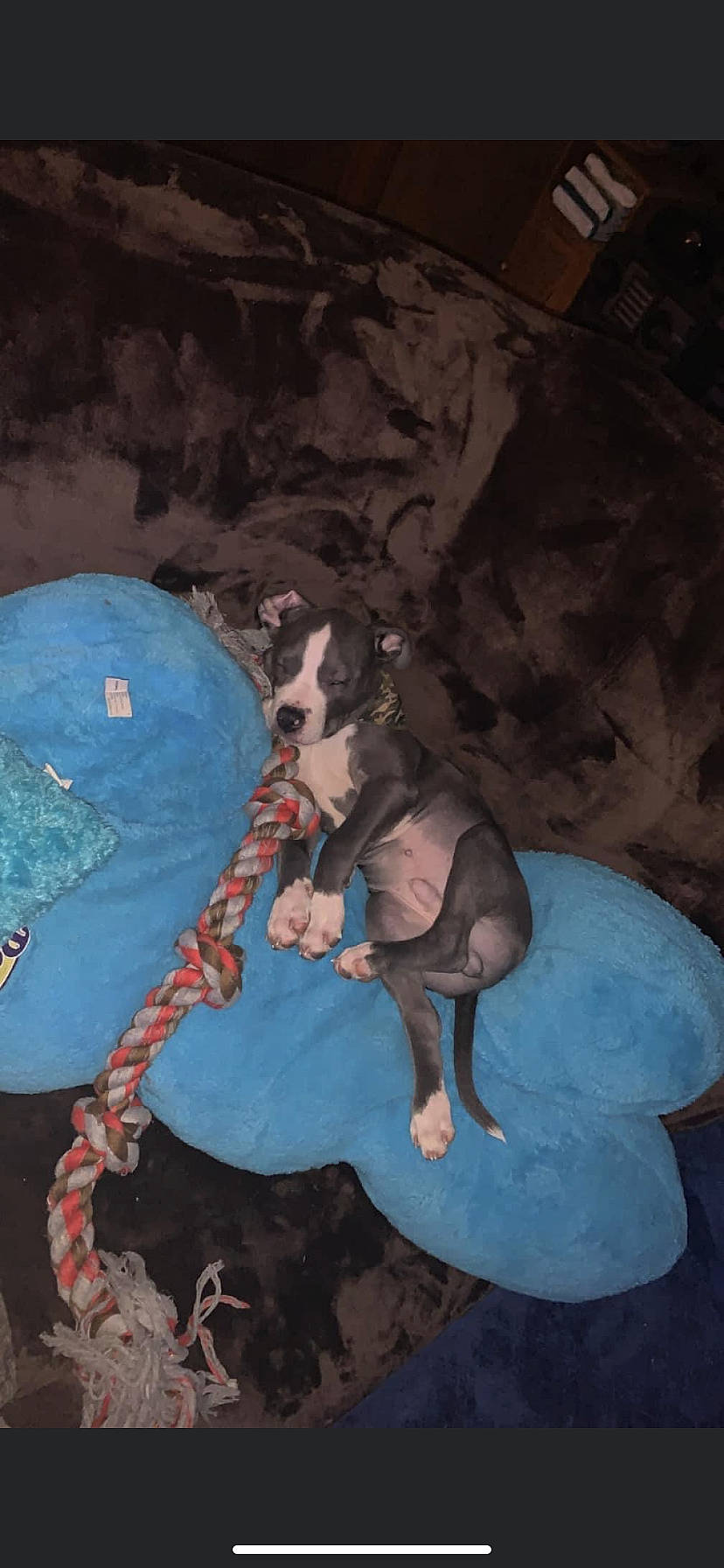 Diesel is registered to the contest to win money with this photo: adventure, child, darkness, electric_blue, fawn, fiction, fictional_character, flesh, fun, organism, plant, recreation, rock, sitting, t_shirt, tree, visual_arts