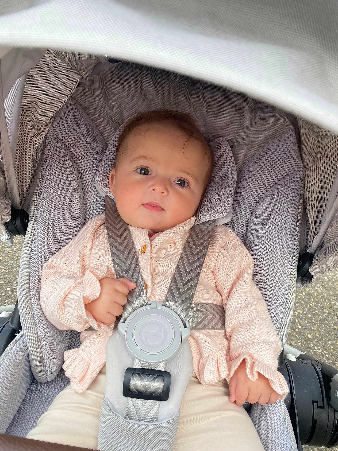 Anna participe au concours pour gagner de l'argent avec cette photo : baby, child, stroller, seatbelt, harness, pink_sweater, infant, cute, outdoor, cushion, sitting, clothing, child_seat, young_child, face, person, baby_clothes, safety, portrait, baby_boy