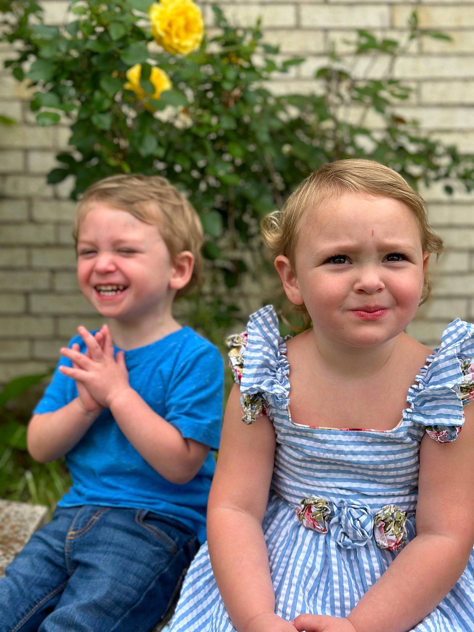 Jase is registered to the contest to win money with this photo: baby_toddler_clothing, botany, child, dress, facial_expression, flower, fun, grass, happy, iris, joy, leaf, people, people_in_nature, person, photograph, plant, smile, standing, summer
