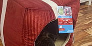 Bear joined the competition — help win amazing prizes! dog, pug, pet_bed, red, gift_box, floor, wooden_floor, cozy, indoor, animal, pet, face, peeking, furniture, home, black_dog, small_dog, cute, resting, puppy