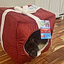 dog, pug, pet_bed, red, gift_box, floor, wooden_floor, cozy, indoor, animal, pet, face, peeking, furniture, home, black_dog, small_dog, cute, resting, puppy