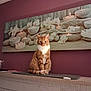 cat, indoor, ginger_cat, white_markings, wooden_surface, purple_wall, wall_art, candles, flowers, decor, pet, animal, feline, sitting, curious, cozy, household, portrait, calm, relaxed