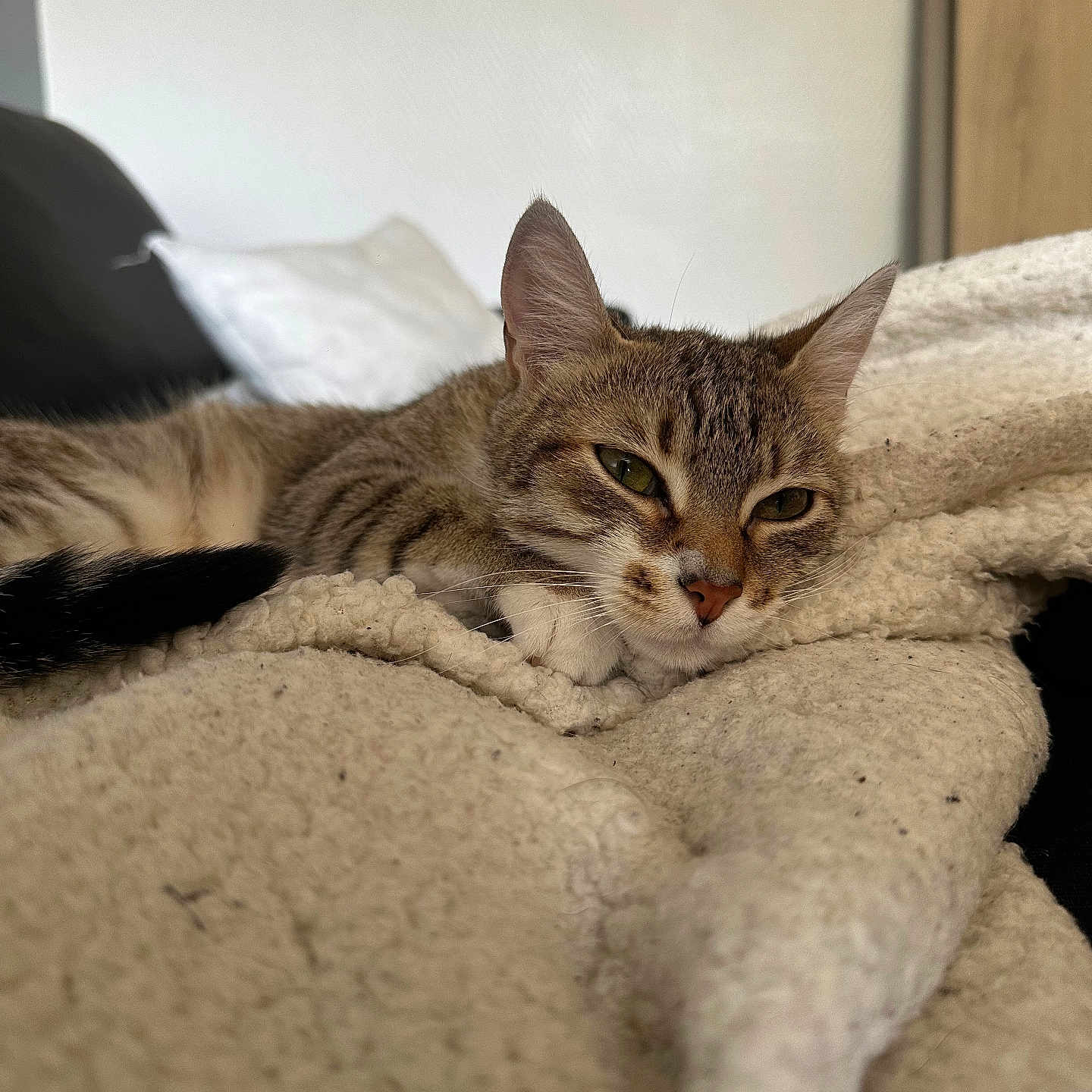 Nala