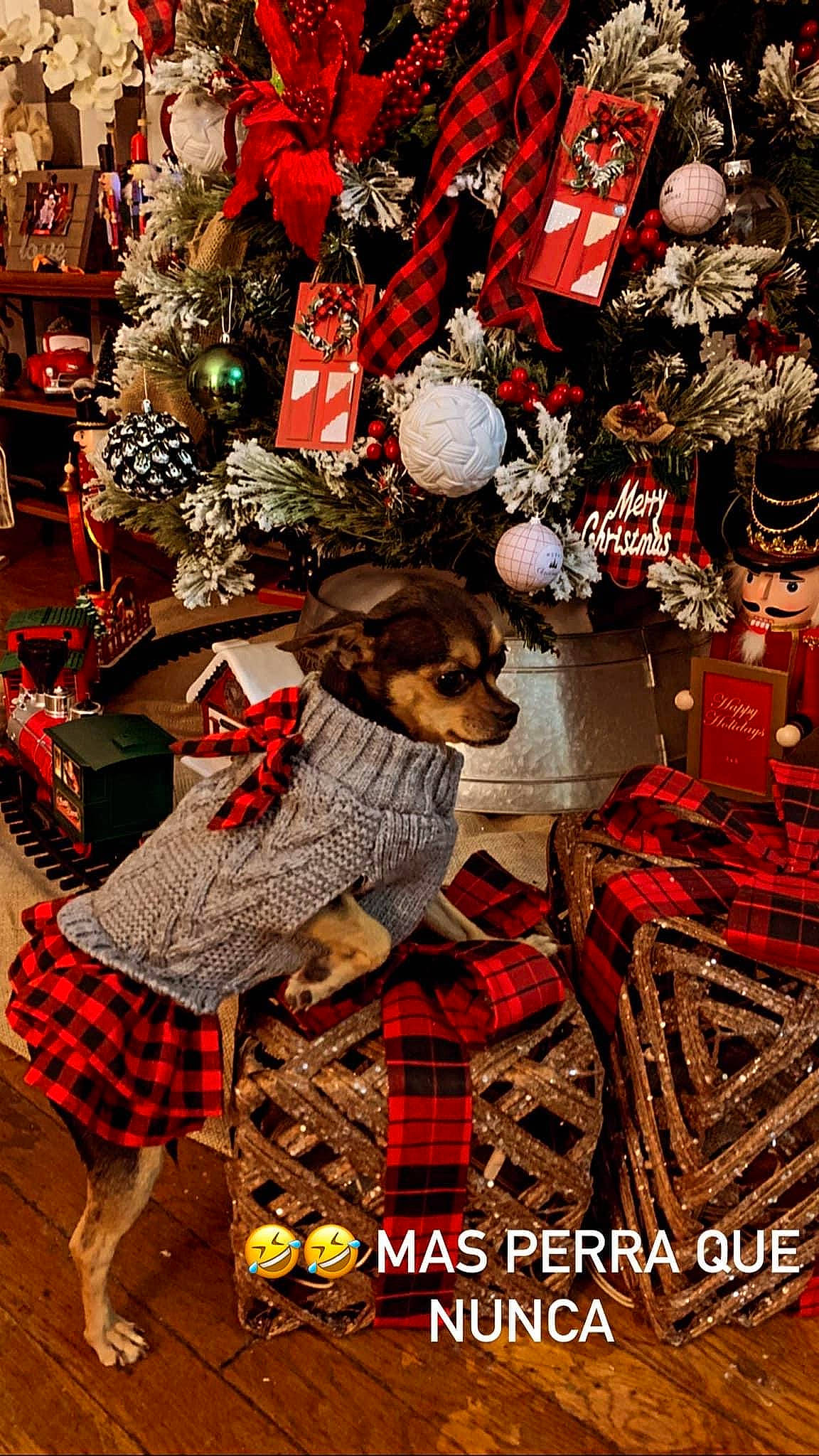 Sophie is registered to the contest to win money with this photo: christmas, christmas_decoration, christmas_eve, christmas_ornament, christmas_tree, conifer, event, fur, holiday, holiday_ornament, home_accessories, interior_design, natural_material, ornament, pattern, plaid, tartan, textile, toy, tradition