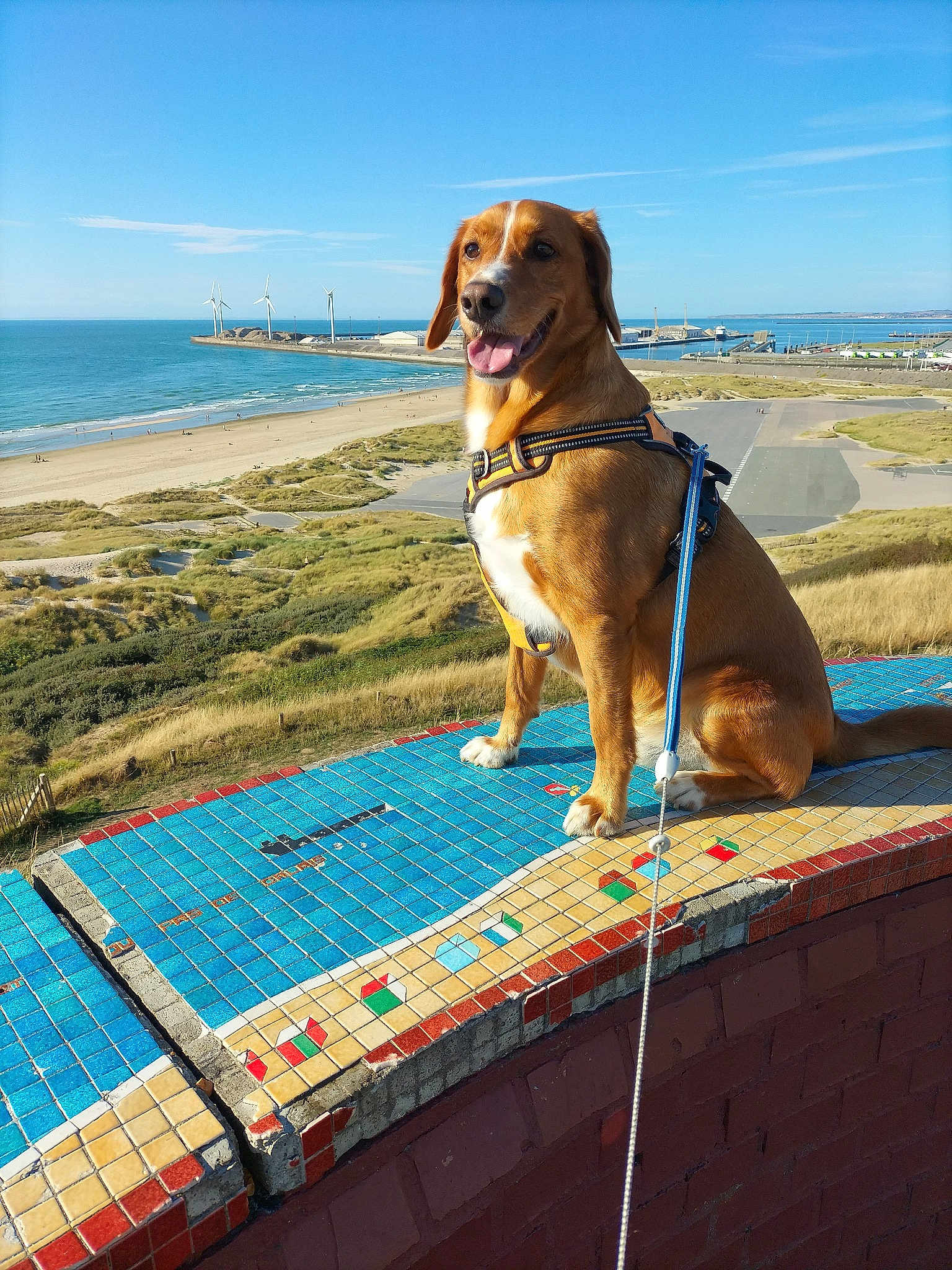 Oscar