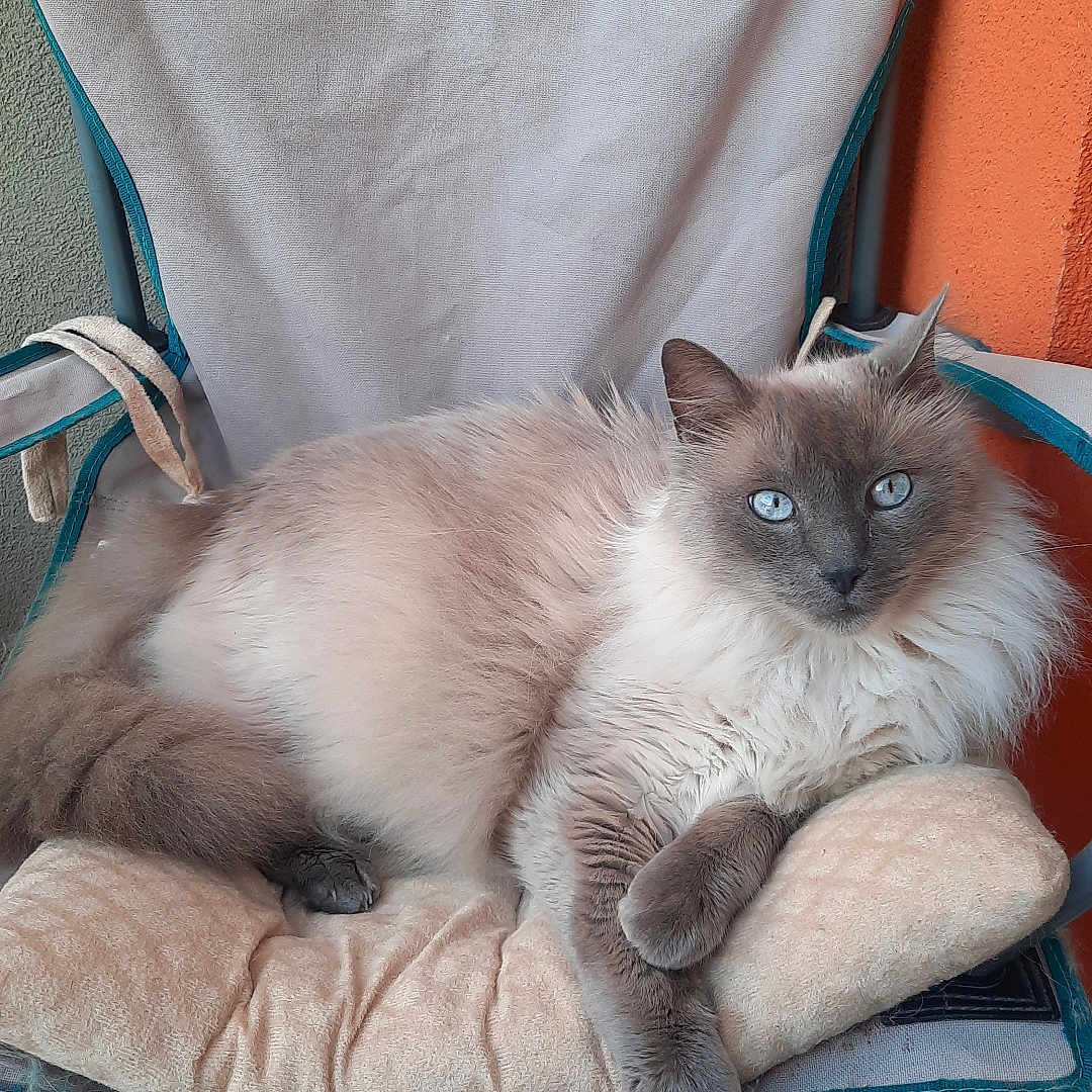 Minu