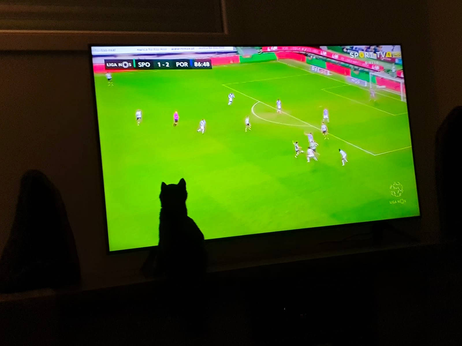 Happy participe au concours pour gagner de l'argent avec cette photo : display_device, electronic_device, electronics, flat_panel_display, gadget, games, green, led_backlit_lcd_display, media, multimedia, screen, technology, television, television_set