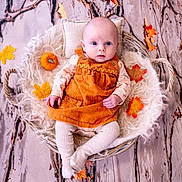 Sabrina is registered to the contest to win money with this photo: baby, infant, basket, autumn, fall_leaves, pumpkin, orange_dress, corduroy, tights, fluffy_blanket, wooden_floor, cute, portrait, indoor, child, seasonal, decor, cozy, small, sitting