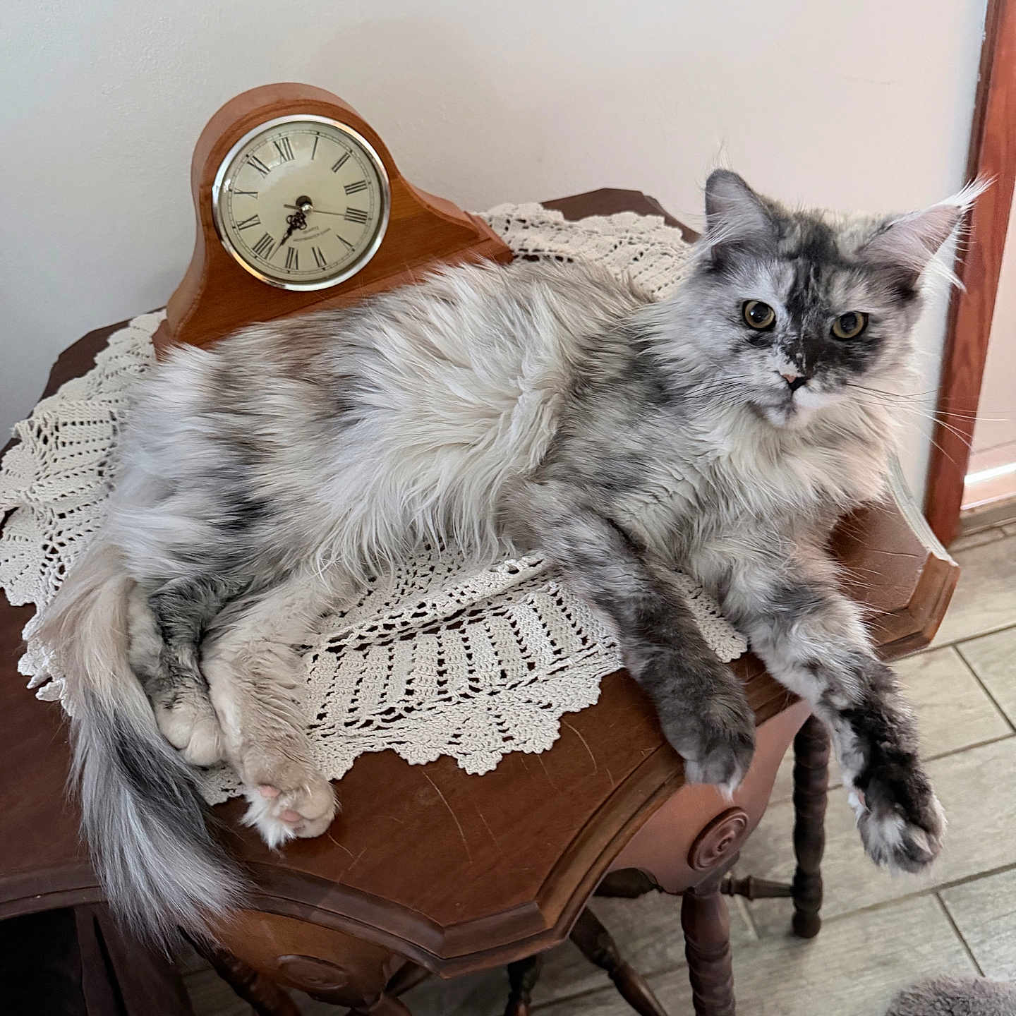 Ellie Mae