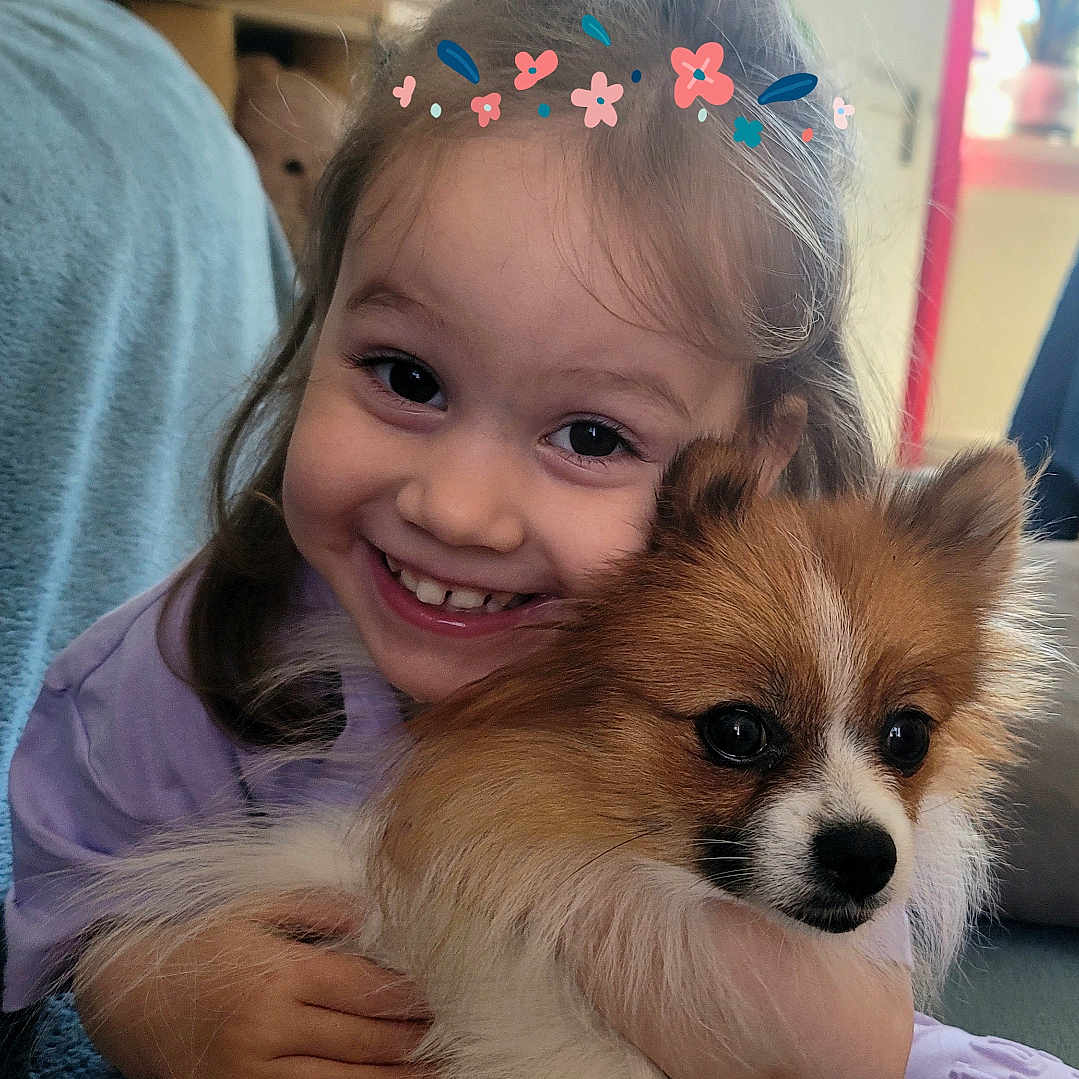 Louna a rejoint le concours — aidez-le/la à gagner de superbes lots ! child, cute, dog, face, filter, fluffy, furniture, hair, hand, happy, heart, hug, indoor, pet, plant, pomeranian, purple_clothing, smile, toy, window