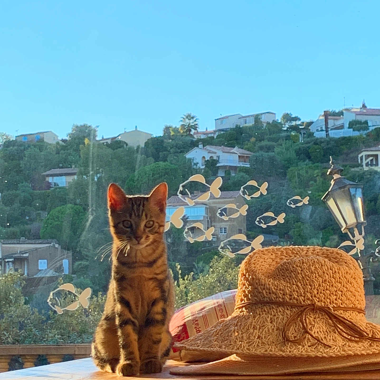 Simba