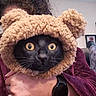 Hogie joined the competition — help win amazing prizes! black_cat, cat_face, yellow_eyes, teddy_bear_hood, fluffy, person_holding_cat, maroon_robe, hand, indoor, wall_art, blanket, couch, watch, curly_hair, close_up, pet, cute, animal, cozy, portrait