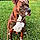Marley