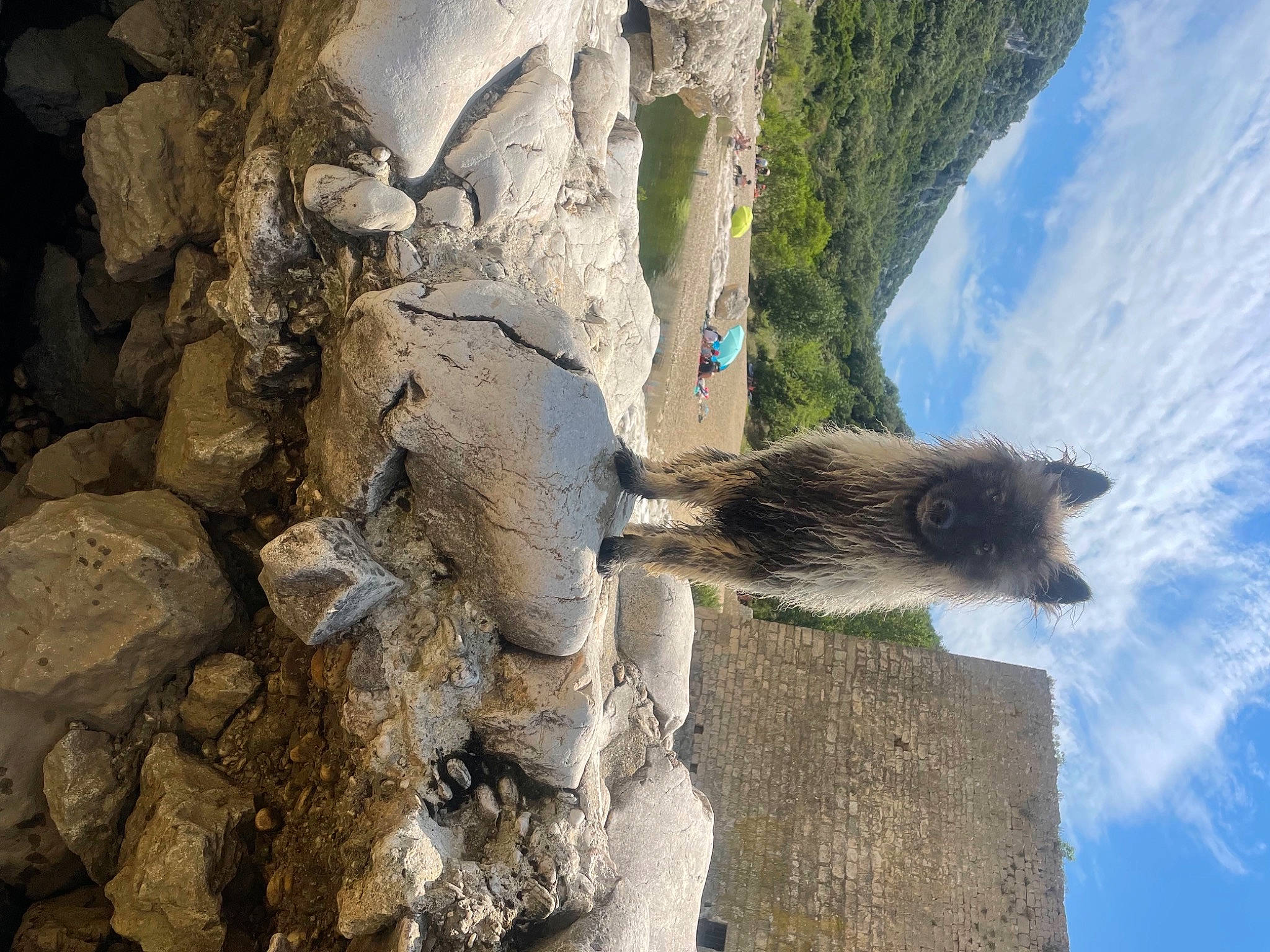 Sid a rejoint le concours — aidez-le/la à gagner de superbes lots ! bedrock, building, cloud, formation, fur, geology, history, landscape, outcrop, plant, rock, sky, snout, tree, trunk, wall, water, wildlife, window, wood