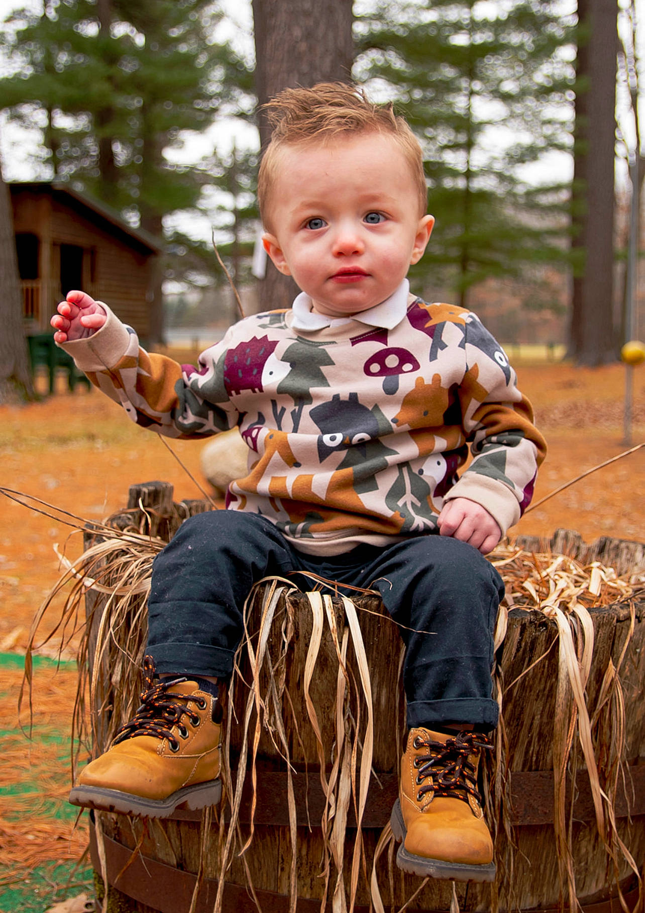 Azaiah is registered to the contest to win money with this photo: adaptation, autumn, baby, baby_toddler_clothing, child, facial_expression, fun, grass, happy, leisure, people_in_nature, person, play, portrait_photography, recreation, sitting, soil, stock_photography, toddler, tree