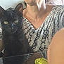 animal, black_cat, candid, casual, closeup, cozy, curious, domestic, face_partially_visible, feline, indoor, kitten, looking_forward, patterned_shirt, person, pet, seated, soft_lighting, table, young_cat
