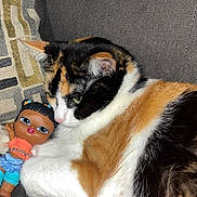 Miso is registered to the contest to win money with this photo: animal, calico_cat, cartoon_cactus, cat, close_up, colorful_card, couch, cozy, doll, feline, gray_couch, home, indoor, pet, playful, plush_toy, relaxed_cat, resting_cat, soft_fur, toy