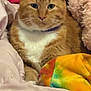 cat, orange_tabby, white_chest, pet, animal, feline, indoor, blanket, tie_dye, soft, cozy, fur, closeup, resting, cute, domestic_cat, whiskers, collar, relaxed, sleepy