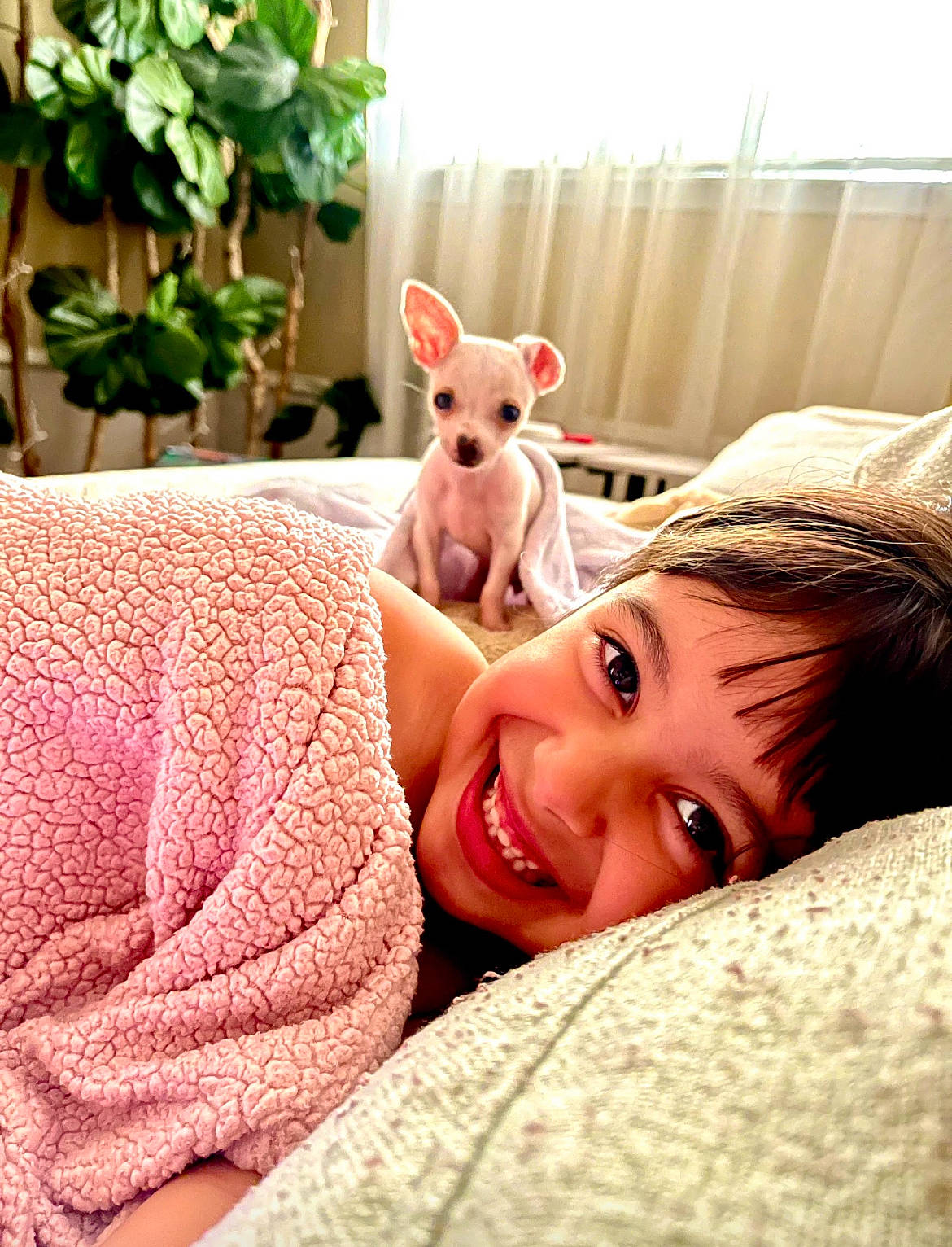 Kalila joined the competition — help win amazing prizes! baby, bedding, child, comfort, companion_dog, ear, eye, fawn, grass, happy, joy, linens, magenta, organ, person, room, skin, smile, textile, toddler