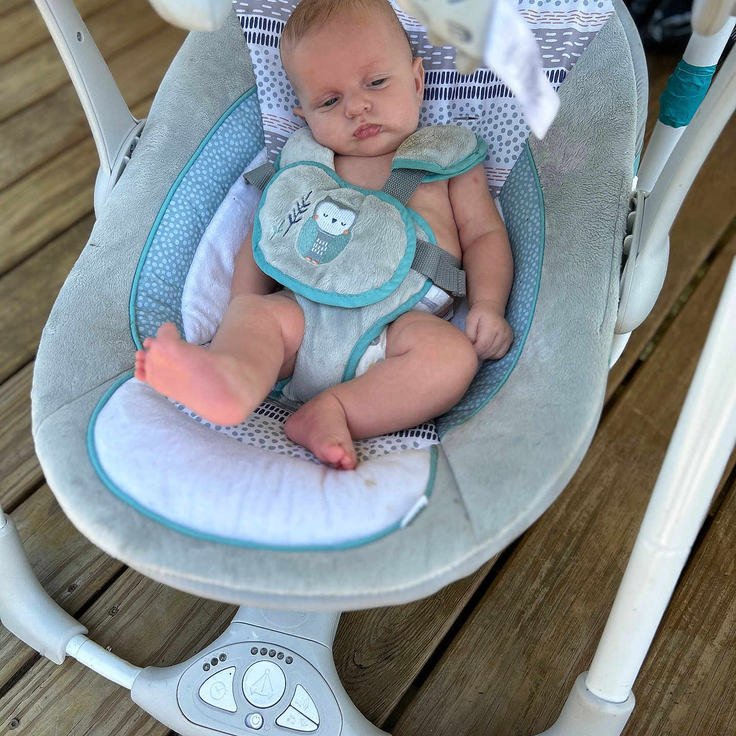 Cavan is registered to the contest to win money with this photo: baby, baby_clothes, baby_swing, child, closeup, comfort, daylight, expression, face, foot, home, indoors, infant, legs, relaxing, seat, soft_toys, straps, toy, wooden_floor