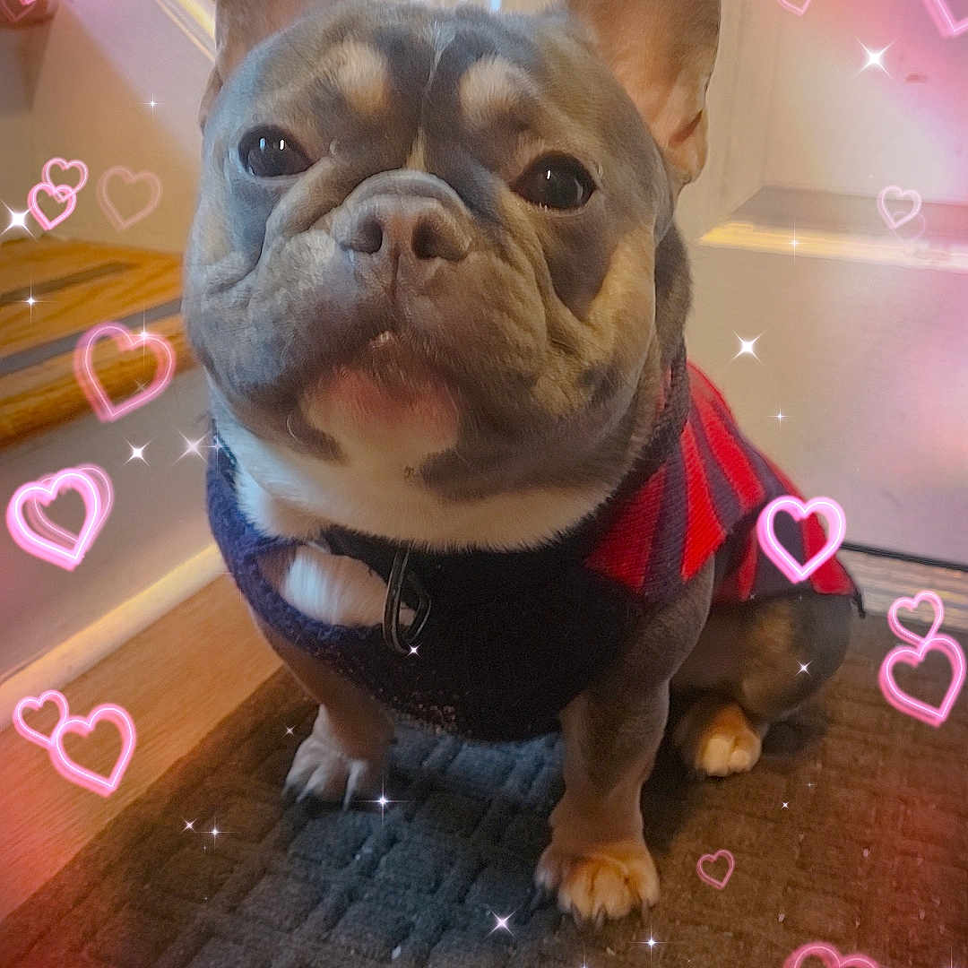 Mugzy