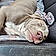 Cold Blue Steel