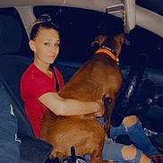 Himareson joined the competition — help win amazing prizes! brown_dog, car_interior, casual_clothing, dashboard, dog, drinking_cup, hand, large_dog, looking_at_camera, night, pet, ripped_jeans, seat, seatbelt, short_hair, sitting, smile, steering_wheel, window, woman