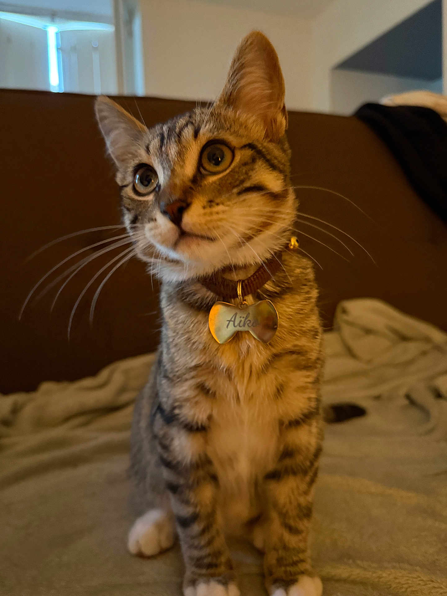 Aïko