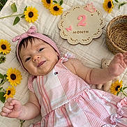 Alanna is registered to the contest to win money with this photo: baby, infant, child, portrait, smiling, lying_down, pink_dress, headband, sunflowers, flowers, quilt, blanket, milestone_photo, two_months, woven_basket, outdoor, grass, baby_toy, happy, close_up