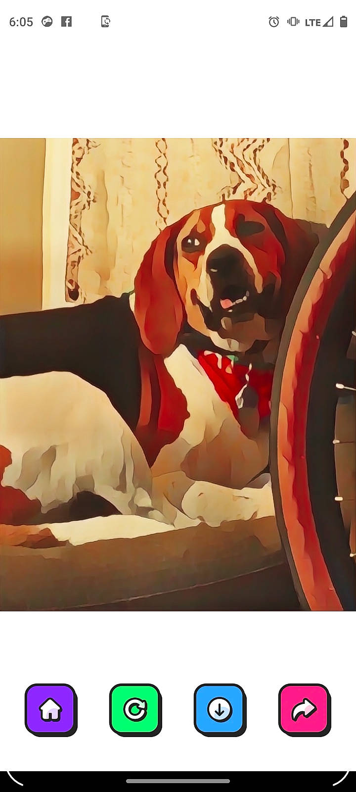 Sweetpea is registered to the contest to win money with this photo: art, automotive_tire, carnivore, companion_dog, dog, dog_breed, dog_supply, drawing, fawn, fender, fictional_character, illustration, painting, rim, snout, tire, tread, vehicle, wheel, working_animal
