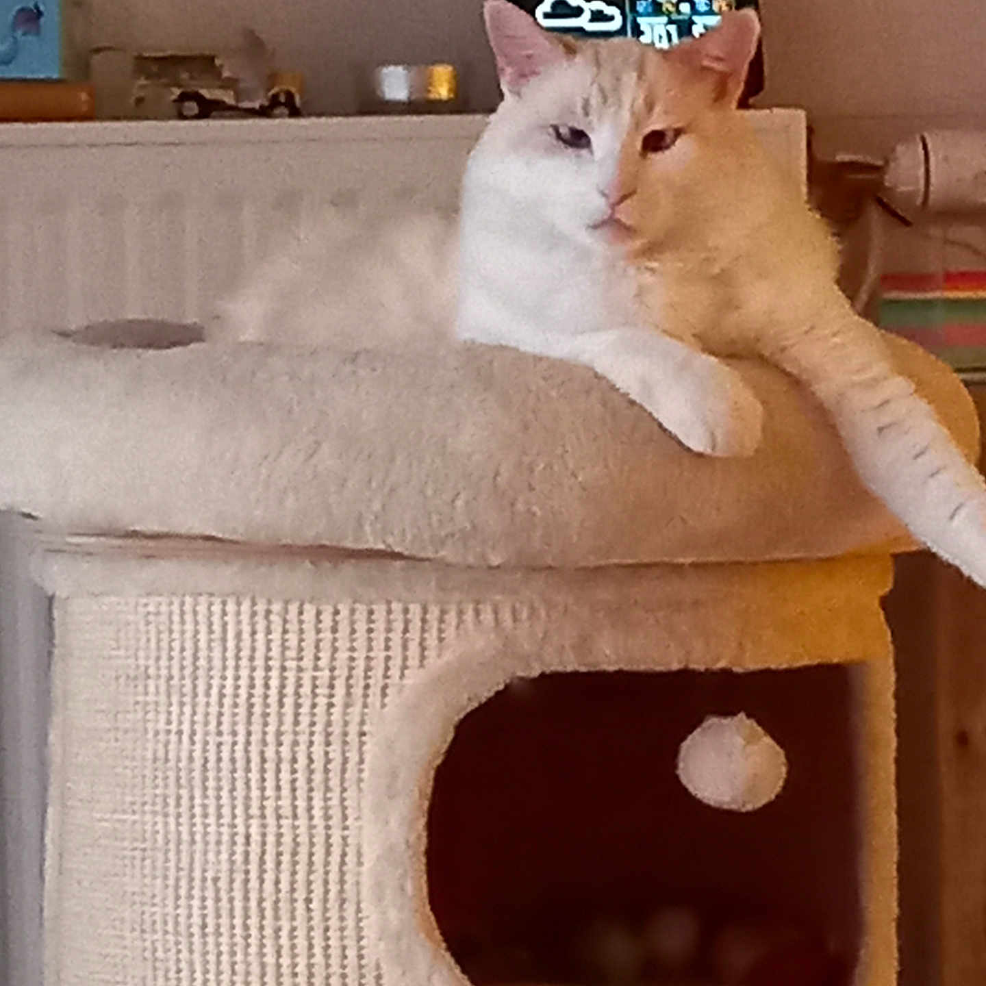 Caramel