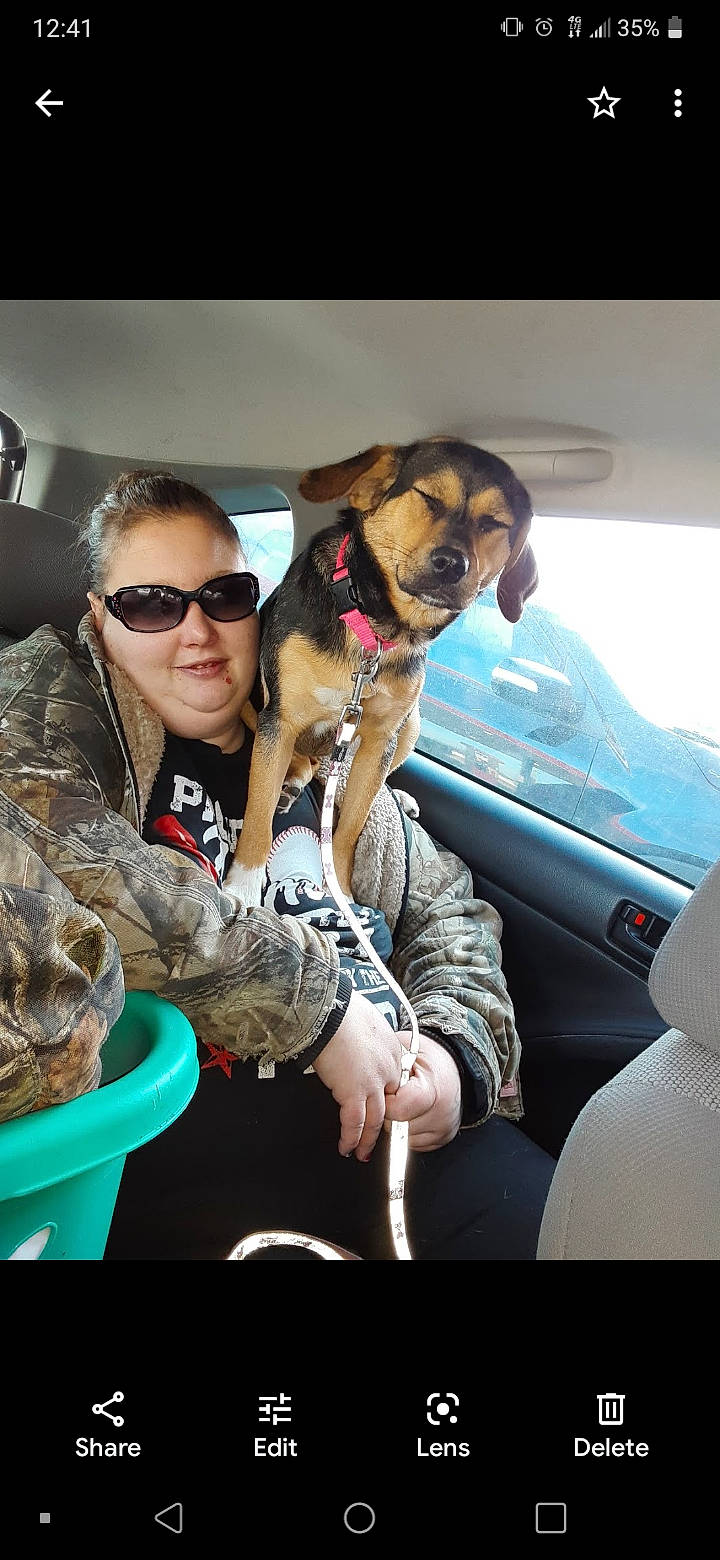 Gunnie joined the competition — help win amazing prizes! auto_part, automotive_exterior, car, carnivore, companion_dog, dog, dog_breed, eyewear, fawn, glasses, goggles, interaction, motor_vehicle, snout, sunglasses, travel, vehicle_door, vertebrate, vision_care, window